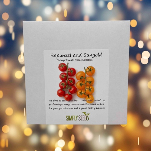 Rapunzel and Sungold Tomato Seed Selection